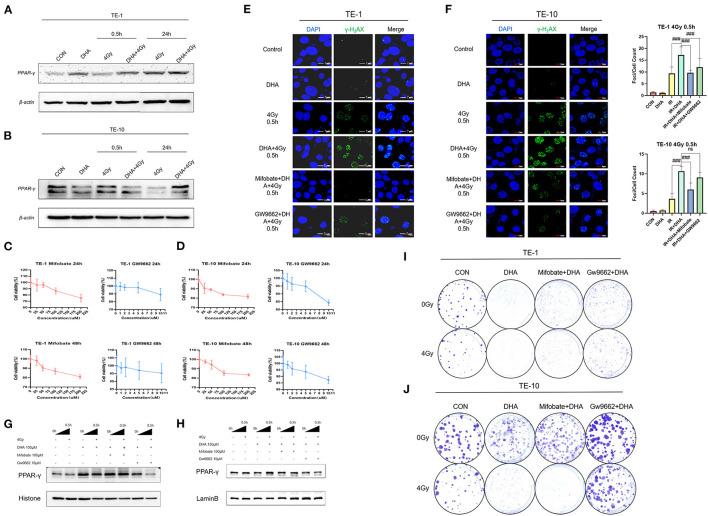 https://cdn.ncbi.nlm.nih.gov/pmc/blobs/5905/10155814/7b9bc2c83e8b/fmed-09-922228-g0004.jpg