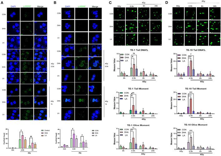 https://cdn.ncbi.nlm.nih.gov/pmc/blobs/5905/10155814/7fb347742c8d/fmed-09-922228-g0002.jpg