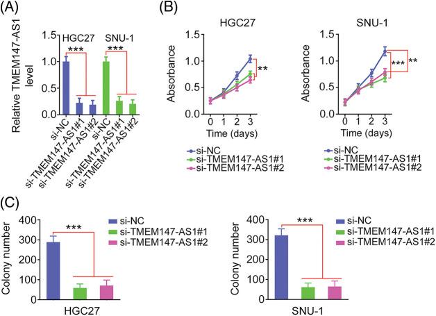 https://cdn.ncbi.nlm.nih.gov/pmc/blobs/5905/10208078/0df7bb40e024/OncolRes-29-3568-f002.jpg