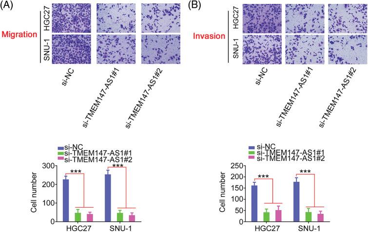 https://cdn.ncbi.nlm.nih.gov/pmc/blobs/5905/10208078/471053871ad1/OncolRes-29-3568-f003.jpg
