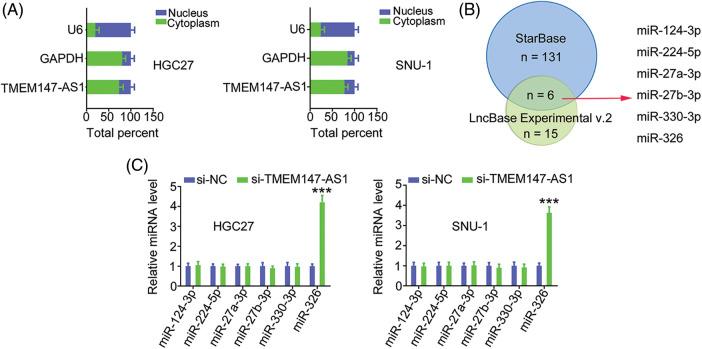 https://cdn.ncbi.nlm.nih.gov/pmc/blobs/5905/10208078/5a5ec00129ec/OncolRes-29-3568-f004.jpg