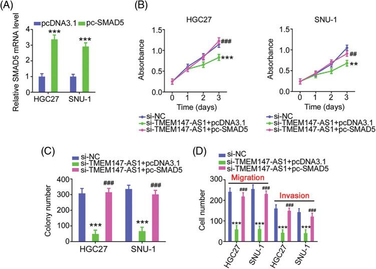 https://cdn.ncbi.nlm.nih.gov/pmc/blobs/5905/10208078/8fcddf908e12/OncolRes-29-3568-f010.jpg