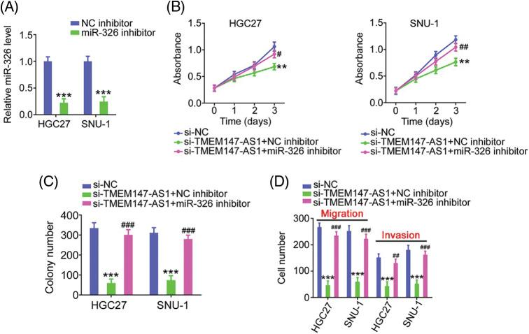 https://cdn.ncbi.nlm.nih.gov/pmc/blobs/5905/10208078/dd858f6badfd/OncolRes-29-3568-f009.jpg
