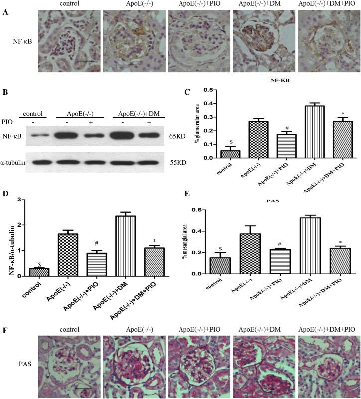 https://cdn.ncbi.nlm.nih.gov/pmc/blobs/5906/5510862/8dc9b1a09809/pone.0181248.g002.jpg
