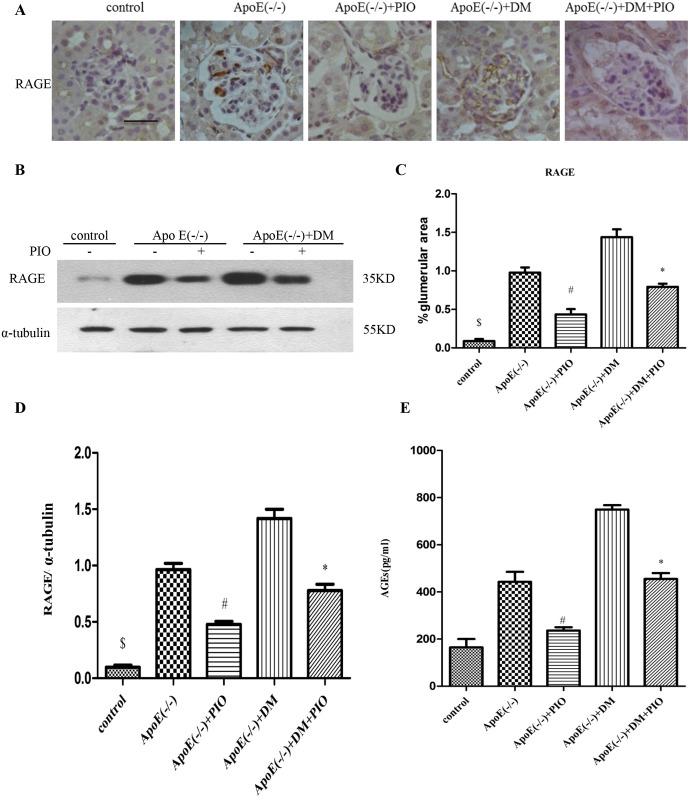https://cdn.ncbi.nlm.nih.gov/pmc/blobs/5906/5510862/9986d62cdb90/pone.0181248.g001.jpg
