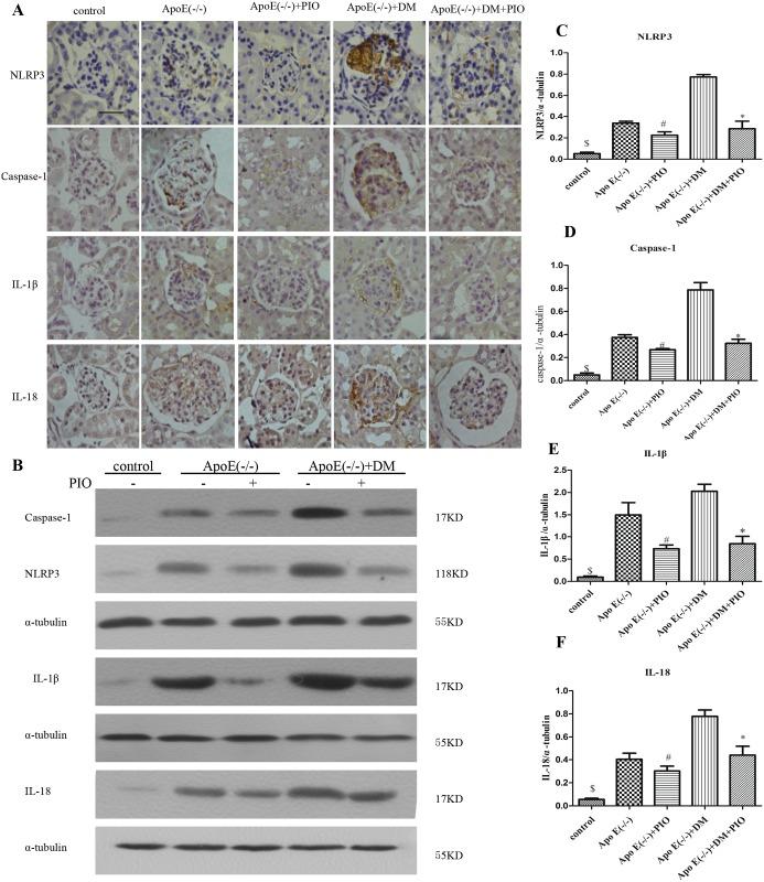 https://cdn.ncbi.nlm.nih.gov/pmc/blobs/5906/5510862/c4150ffbda4a/pone.0181248.g003.jpg