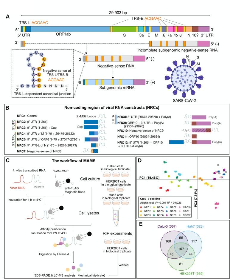 https://cdn.ncbi.nlm.nih.gov/pmc/blobs/5907/10469612/1129c8362a84/msystems.00135-23.f001.jpg