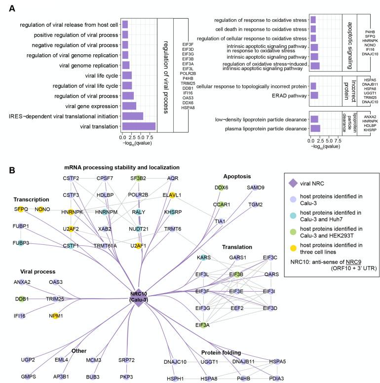 https://cdn.ncbi.nlm.nih.gov/pmc/blobs/5907/10469612/977d8ecc1563/msystems.00135-23.f005.jpg