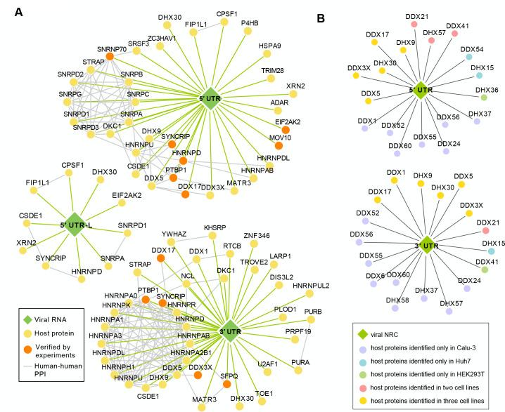https://cdn.ncbi.nlm.nih.gov/pmc/blobs/5907/10469612/e74d904eaea4/msystems.00135-23.f003.jpg
