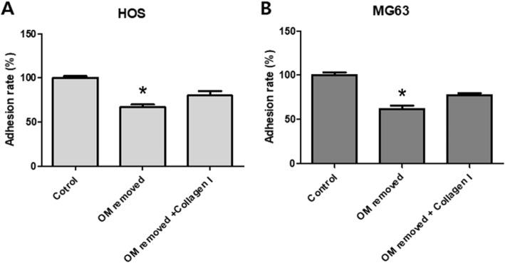 https://cdn.ncbi.nlm.nih.gov/pmc/blobs/5909/8212298/fb87a37ef0e0/40902_2021_302_Fig3_HTML.jpg