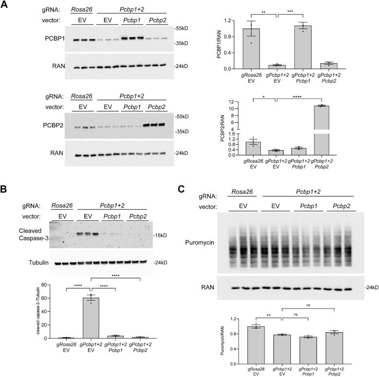 https://cdn.ncbi.nlm.nih.gov/pmc/blobs/590a/12182373/3cf06f8e2030/gr6.jpg