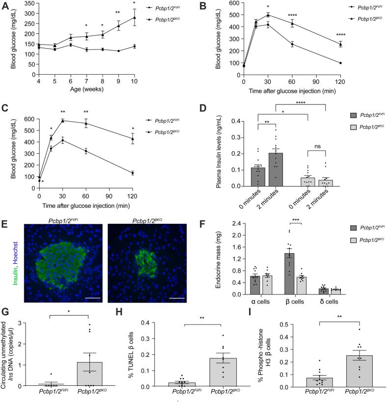 https://cdn.ncbi.nlm.nih.gov/pmc/blobs/590a/12182373/c71da06894b0/gr2.jpg