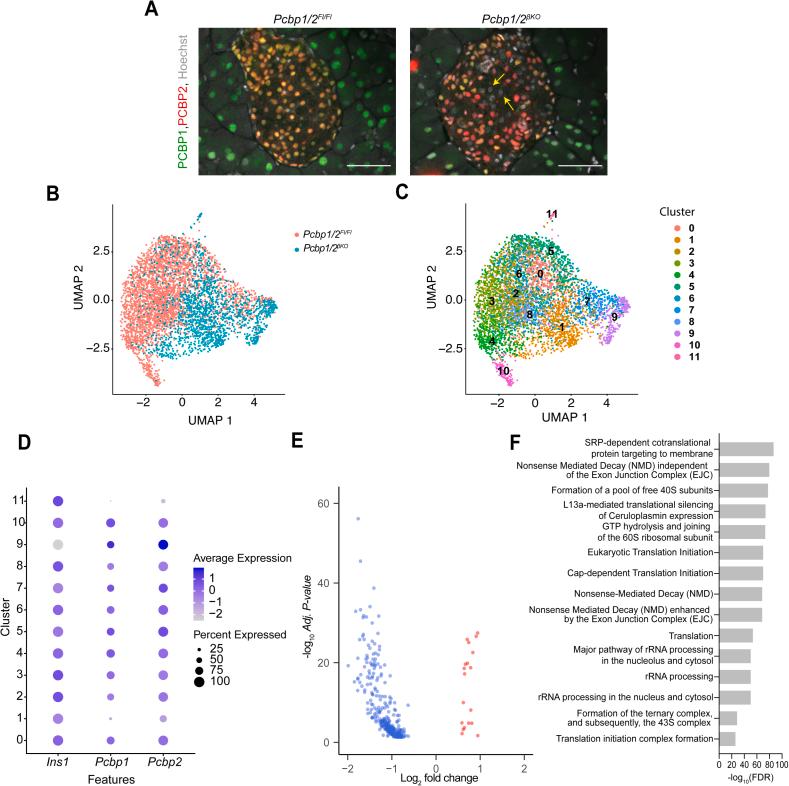 https://cdn.ncbi.nlm.nih.gov/pmc/blobs/590a/12182373/e2c214834840/gr3.jpg