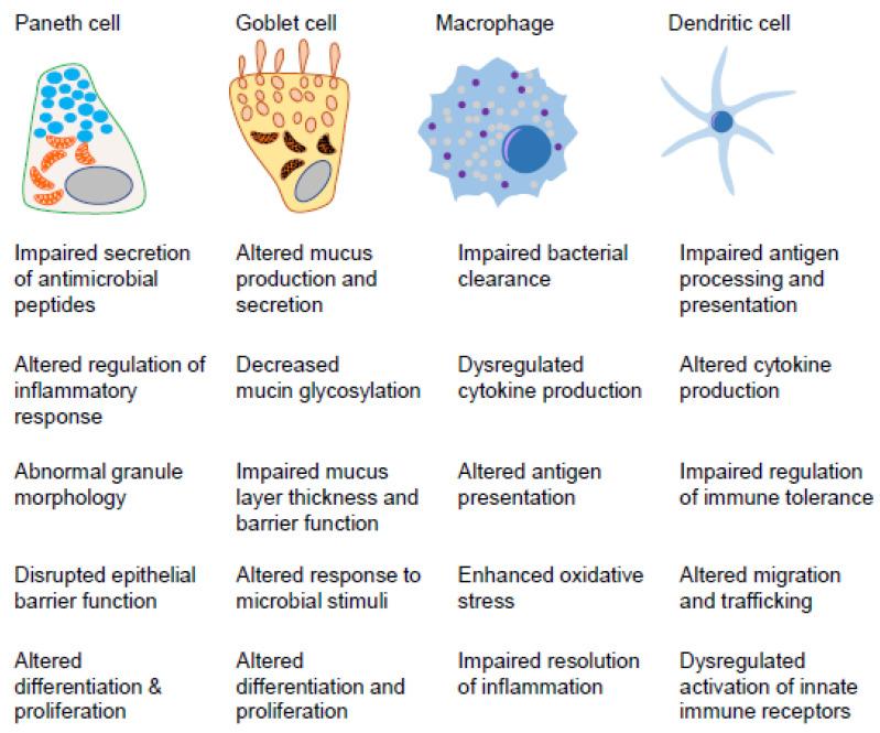 https://cdn.ncbi.nlm.nih.gov/pmc/blobs/590b/10341259/67ff1767fa39/cells-12-01779-g002.jpg