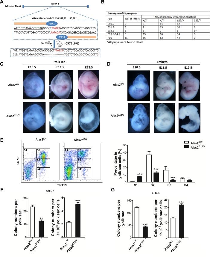 https://cdn.ncbi.nlm.nih.gov/pmc/blobs/590b/5314798/4f1910f323d6/gkw901fig2.jpg