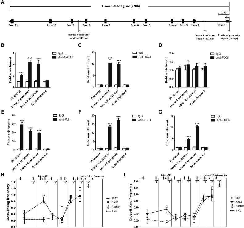https://cdn.ncbi.nlm.nih.gov/pmc/blobs/590b/5314798/c392494f8d51/gkw901fig4.jpg