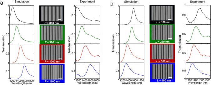 https://cdn.ncbi.nlm.nih.gov/pmc/blobs/590b/5489537/cf503353582b/41598_2017_4540_Fig2_HTML.jpg