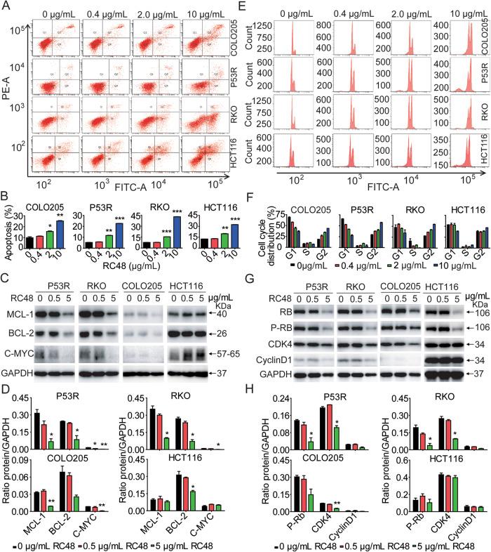 https://cdn.ncbi.nlm.nih.gov/pmc/blobs/590c/10914798/d70e53fea446/41419_2024_6572_Fig2_HTML.jpg