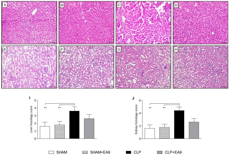 https://cdn.ncbi.nlm.nih.gov/pmc/blobs/590c/9860781/4807212a134f/marinedrugs-21-00045-g006.jpg