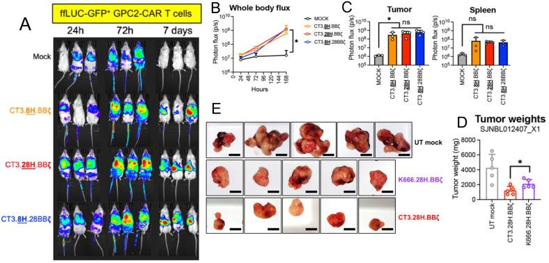 https://cdn.ncbi.nlm.nih.gov/pmc/blobs/590e/11913827/73b379173473/fonc-15-1553511-g004.jpg