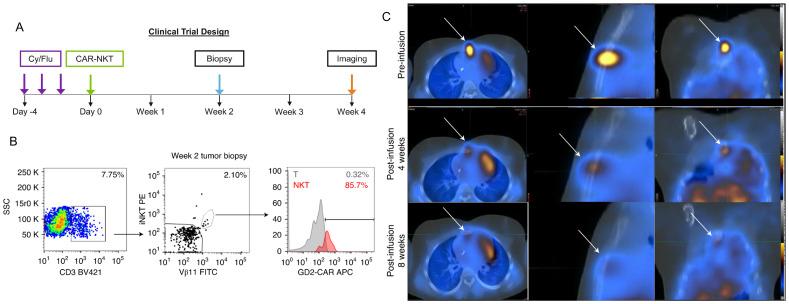 https://cdn.ncbi.nlm.nih.gov/pmc/blobs/590e/11913827/c04f96032730/fonc-15-1553511-g003.jpg