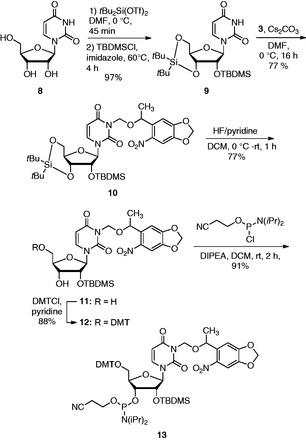 https://cdn.ncbi.nlm.nih.gov/pmc/blobs/5910/3905849/93b16b8ab693/gkt806s3p.jpg