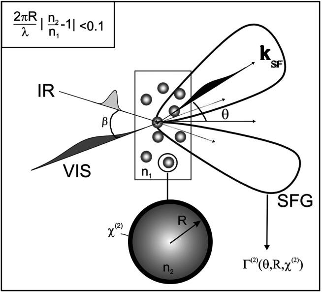 https://cdn.ncbi.nlm.nih.gov/pmc/blobs/5910/7902787/51e8c677ad8a/fchem-08-611833-g014.jpg