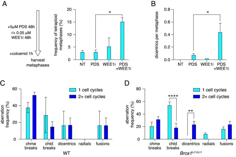 https://cdn.ncbi.nlm.nih.gov/pmc/blobs/5911/12403082/a60bfed27f6a/pnas.2506939122fig05.jpg