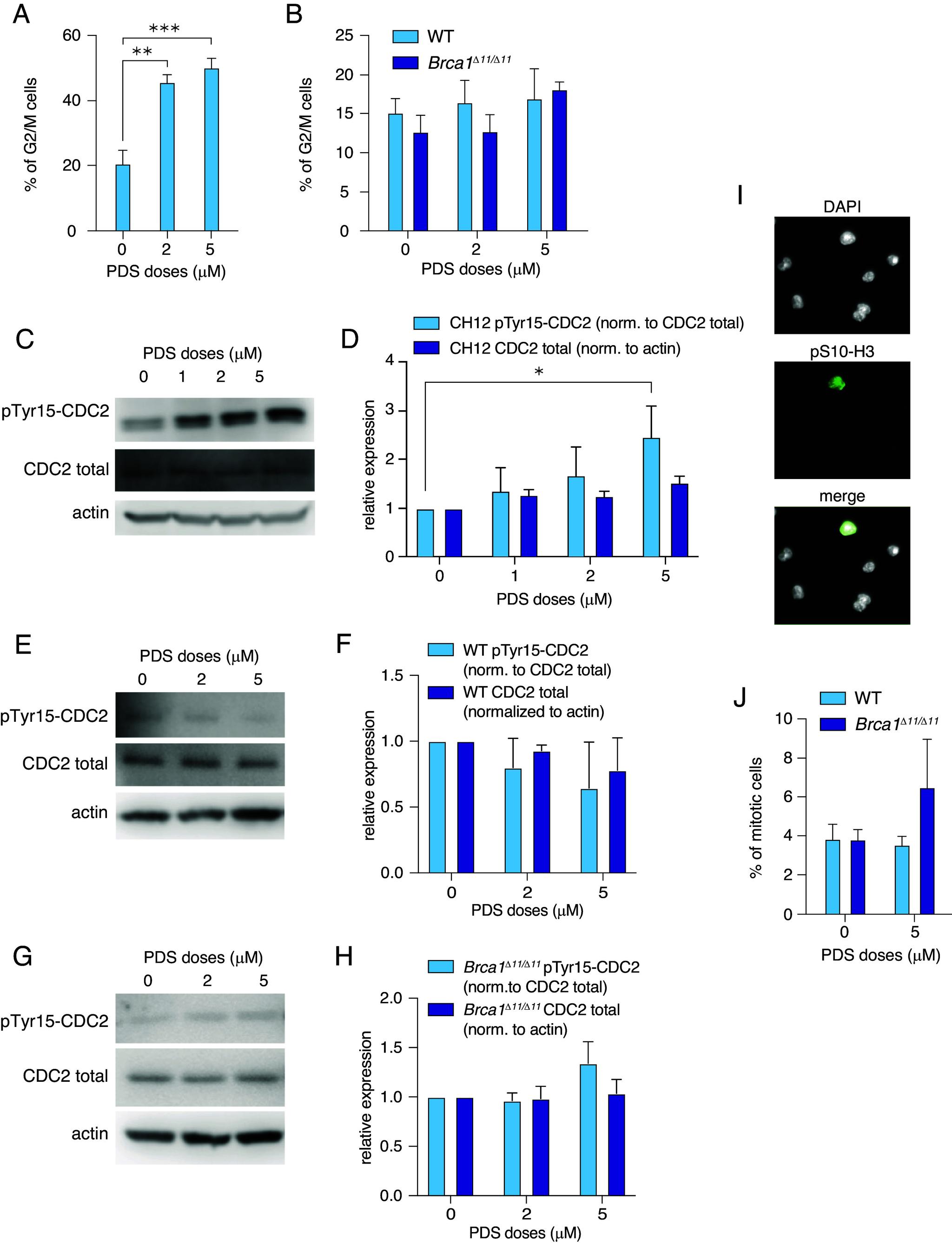 https://cdn.ncbi.nlm.nih.gov/pmc/blobs/5911/12403082/bac466f4258b/pnas.2506939122fig04.jpg