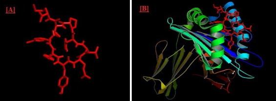 https://cdn.ncbi.nlm.nih.gov/pmc/blobs/5911/7172456/a53b979245b7/gr4.jpg