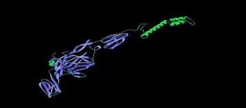 https://cdn.ncbi.nlm.nih.gov/pmc/blobs/5911/7172456/ef6dbf9756a4/gr11.jpg