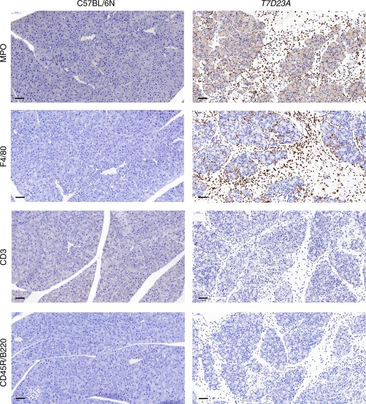 https://cdn.ncbi.nlm.nih.gov/pmc/blobs/5915/6261995/3feb47a27899/41467_2018_7347_Fig3_HTML.jpg