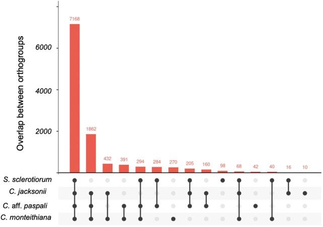 https://cdn.ncbi.nlm.nih.gov/pmc/blobs/5916/9849252/2b8f0d53be20/fgene-13-1033437-g004.jpg