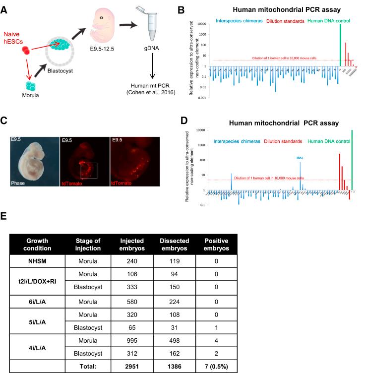 https://cdn.ncbi.nlm.nih.gov/pmc/blobs/5917/5065525/8de9707998cb/gr7.jpg