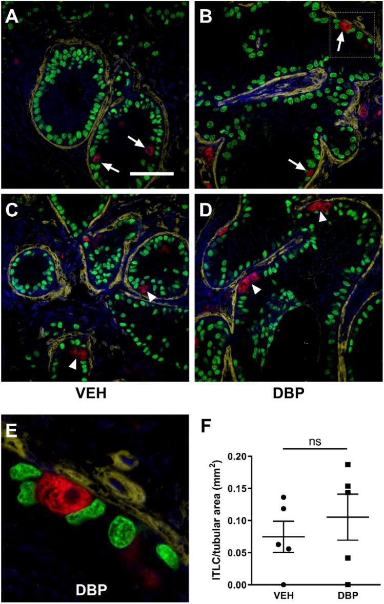 https://cdn.ncbi.nlm.nih.gov/pmc/blobs/5919/7642428/6a6b1a68a6ee/41598_2020_75803_Fig7_HTML.jpg