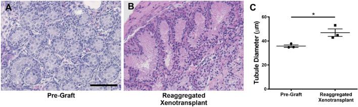 https://cdn.ncbi.nlm.nih.gov/pmc/blobs/5919/7642428/c4a79e644880/41598_2020_75803_Fig2_HTML.jpg