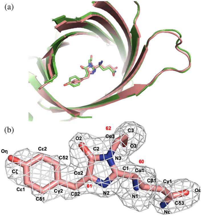 https://cdn.ncbi.nlm.nih.gov/pmc/blobs/5919/8994484/38e3677d720f/PRO-31-e4285-g003.jpg