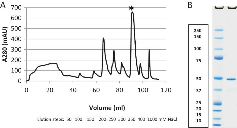https://cdn.ncbi.nlm.nih.gov/pmc/blobs/591a/5686591/806789aa506b/zjb9990945810001.jpg
