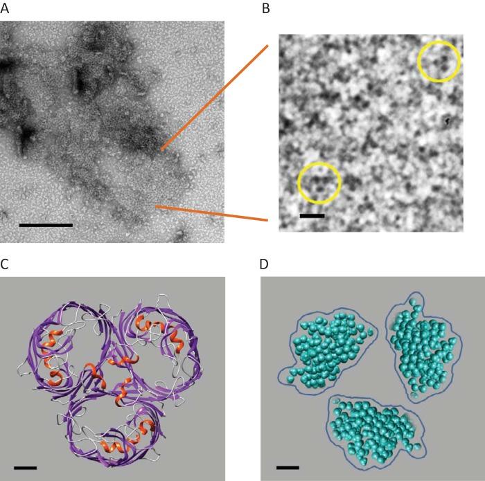 https://cdn.ncbi.nlm.nih.gov/pmc/blobs/591a/5686591/f1c9a9b04a2f/zjb9990945810004.jpg
