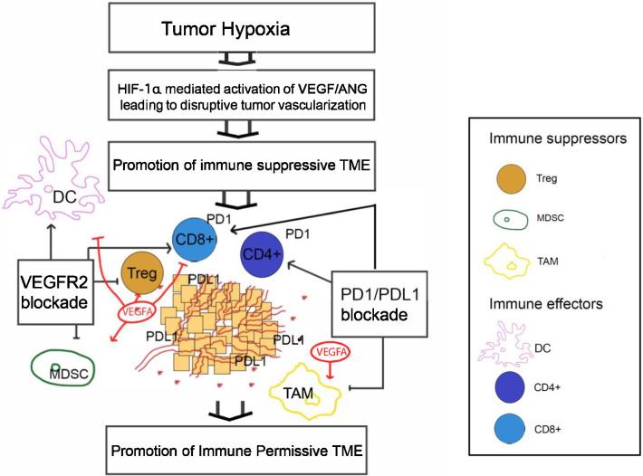 https://cdn.ncbi.nlm.nih.gov/pmc/blobs/591a/7802258/f321adbfbf07/13045_2021_1034_Fig1_HTML.jpg