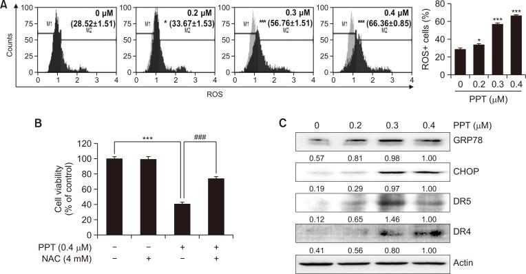 https://cdn.ncbi.nlm.nih.gov/pmc/blobs/591c/9970835/4a47e60777d1/bt-31-2-200-f5.jpg