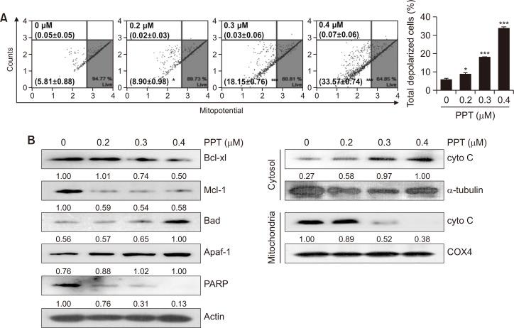 https://cdn.ncbi.nlm.nih.gov/pmc/blobs/591c/9970835/63a025624994/bt-31-2-200-f6.jpg