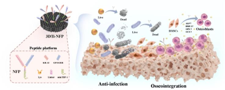 https://cdn.ncbi.nlm.nih.gov/pmc/blobs/591d/11743903/6c8505931fd8/ga1.jpg