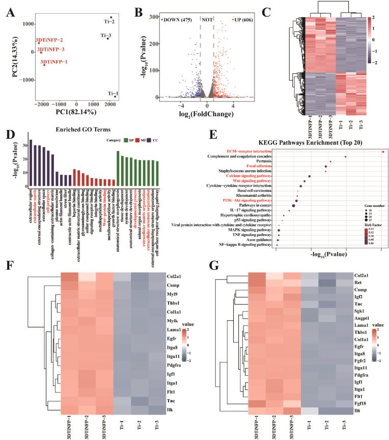 https://cdn.ncbi.nlm.nih.gov/pmc/blobs/591d/11743903/abf734f222f8/gr6.jpg