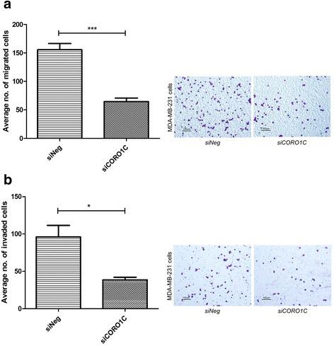 https://cdn.ncbi.nlm.nih.gov/pmc/blobs/591e/5356414/2b069a83a077/12885_2017_3187_Fig8_HTML.jpg