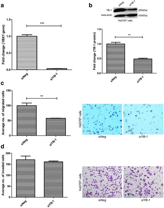 https://cdn.ncbi.nlm.nih.gov/pmc/blobs/591e/5356414/9df7c29cfa5d/12885_2017_3187_Fig2_HTML.jpg