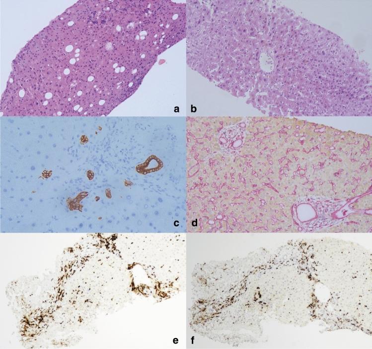 https://cdn.ncbi.nlm.nih.gov/pmc/blobs/591f/11632075/8c1d9bb5f782/12072_2024_10688_Fig3_HTML.jpg