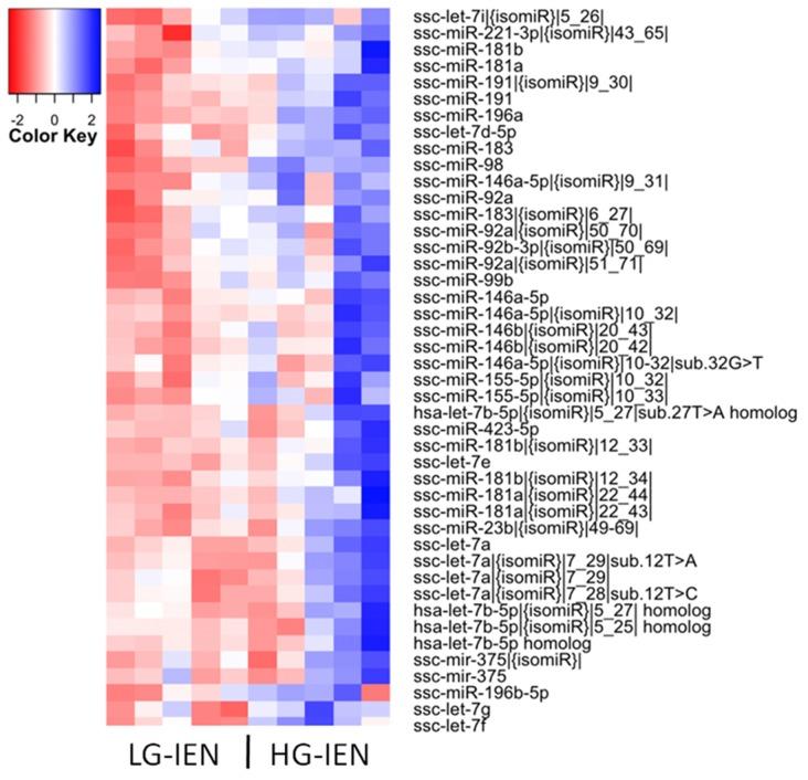 https://cdn.ncbi.nlm.nih.gov/pmc/blobs/591f/5707088/98d10fbc558a/oncotarget-08-96154-g001.jpg