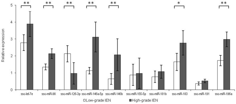 https://cdn.ncbi.nlm.nih.gov/pmc/blobs/591f/5707088/f136f5141d4d/oncotarget-08-96154-g002.jpg