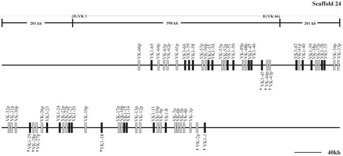 https://cdn.ncbi.nlm.nih.gov/pmc/blobs/5920/3382241/5cbd1472c28c/pone.0039298.g013.jpg